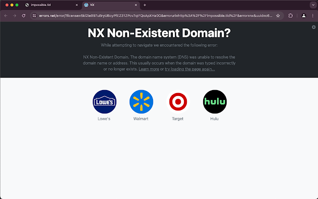 Screenshot 2 of Errors.net official extension