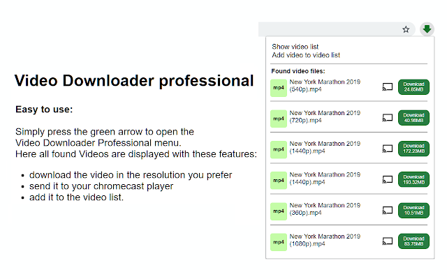 Screenshot 1 of Video Downloader Professional