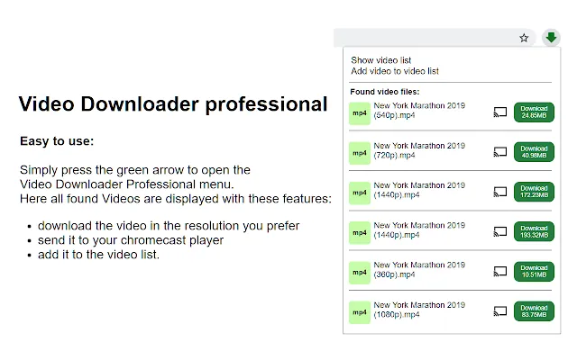 Screenshot 1 of Video Downloader Professional