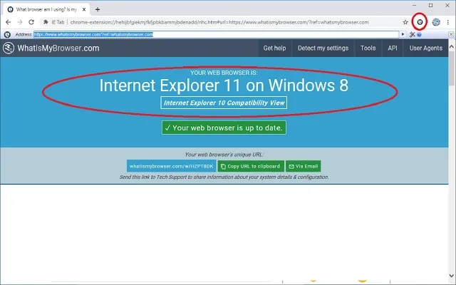 Screenshot 2 of IE Tab