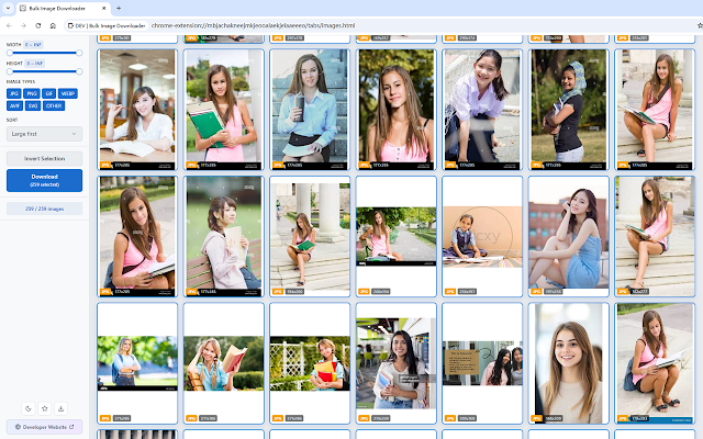 Screenshot 1 of Bulk Image Downloader