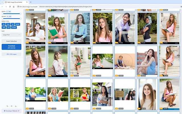 Screenshot 1 of Bulk Image Downloader