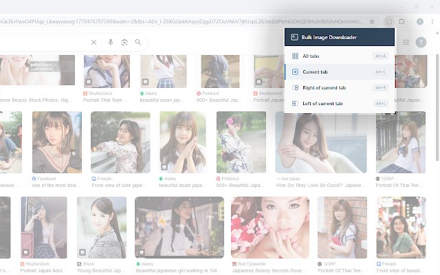 Screenshot 2 of Bulk Image Downloader