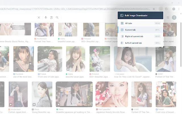 Screenshot 2 of Bulk Image Downloader