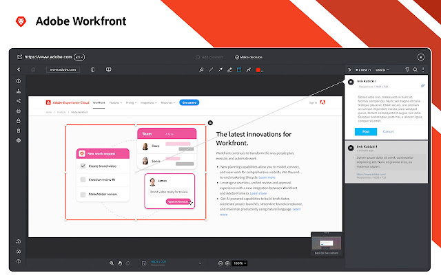 Screenshot 2 of Adobe Workfront review tool