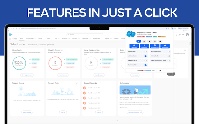 Screenshot 1 of Salesforce Revamp