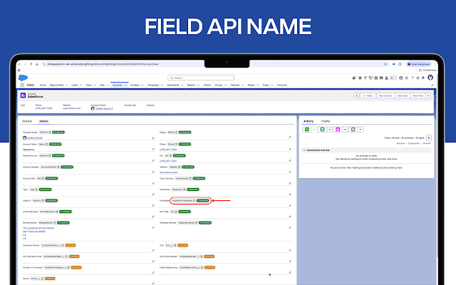 Screenshot 2 of Salesforce Revamp