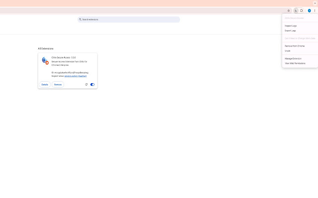 Screenshot 1 of Citrix Secure Access