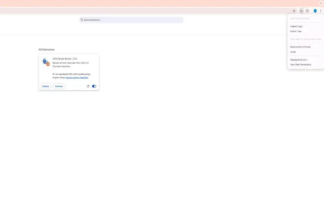 Screenshot 1 of Citrix Secure Access
