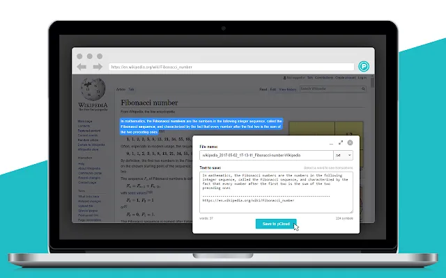 Screenshot 2 of pCloud Save