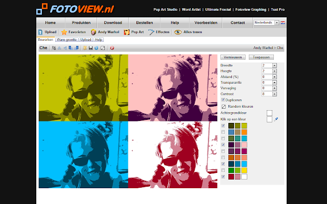 Screenshot 2 of Pop Art Studio Online